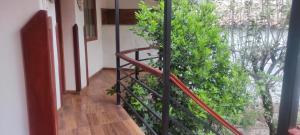 una escalera con una planta al lado de un edificio en Anka Wasi Lodging, en Cusco