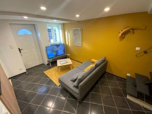 Saint-Maurice-de-RémensにあるPetite maison de villageのソファとテレビのあるリビングルーム