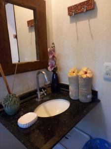 um balcão de casa de banho com um lavatório e um espelho em Maravilhoso chalé num paraíso em Japaratinga em Japaratinga