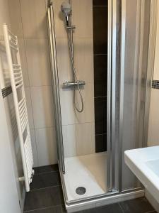 W łazience znajduje się prysznic ze szklanymi drzwiami. w obiekcie Spatzennester-Vogelsberger Hof w mieście Grebenhain