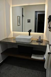 eine Badezimmertheke mit einem Waschbecken und einem Spiegel in der Unterkunft Loft cobalto en excelente ubicación! in San Luis Potosí