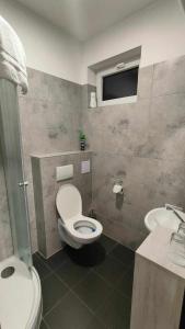 a bathroom with a toilet and a sink at Apartmány u golfu in Jihlava