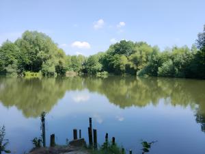 Blick auf einen See mit Bäumen im Hintergrund in der Unterkunft Zimmer 31qm inkl. Duschbad in Hamburg