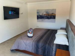 een slaapkamer met een bed en een tv aan de muur bij Departamento con estilo y excelente ubicación in San Luis Potosí
