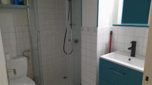 y baño con ducha, aseo y lavamanos. en Studio cosy en rez-de-chaussée, en Bourbonne-les-Bains