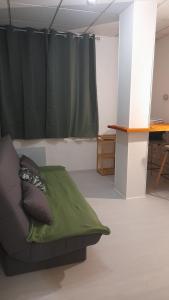 a living room with a couch and a curtain at Studio cosy en rez-de-chaussée in Bourbonne-les-Bains