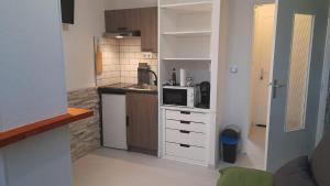 una pequeña cocina con fregadero y microondas en Studio cosy en rez-de-chaussée, en Bourbonne-les-Bains