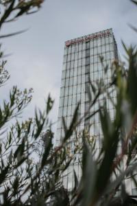 Ein Gebäude wird durch einen Baum gesehen in der Unterkunft Hilton Garden Inn Mexico City Santa Fe in Mexiko-Stadt