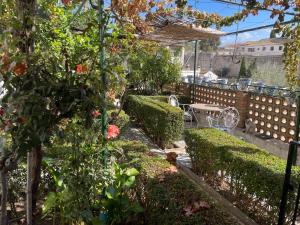 un jardin avec des buissons, des arbres, une table et des chaises dans l'établissement Carmen de la Sultana, à Grenade