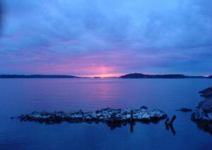 Afbeelding uit fotogalerij van Sjöstuga, Archipelago Beach House in Värmdö +10 foto's