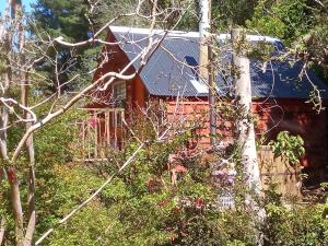 una cabaña de madera oscurecida por árboles y arbustos en Refugio y Tinaja Curiñanco en Valdivia