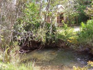 Refugio y Tinaja Curiñanco في فالديفيا: تجمع المياه امام المنزل