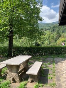 una mesa de picnic de piedra sentada junto a un árbol en Appartamento a Bagolino (BS) en Bagolino