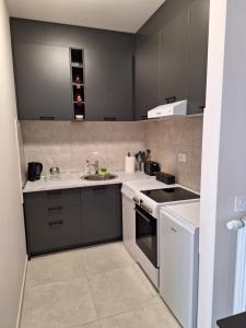Cuina o zona de cuina de Apartman Bedem