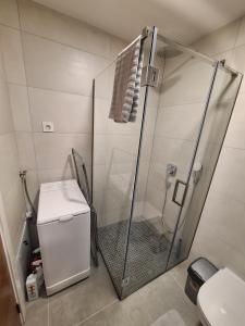 a shower stall in a bathroom with a toilet at Apartman Bedem in Čačak