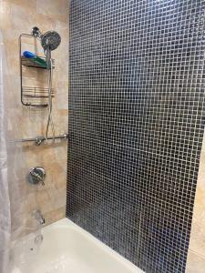 a bathroom with a shower with a black tile wall at Cozy 2-bedrooms bungalow in Canarsie Brooklyn in Brooklyn