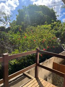 Сад в Suites Amma Noronha