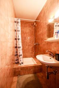 La salle de bains est pourvue d'un lavabo, d'une douche et d'une baignoire. dans l'établissement hyper centre carouge QDC, à Genève