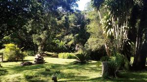 een tuin met palmbomen en gras en planten bij Casa hospedagem rural em São Roque in Itapevy