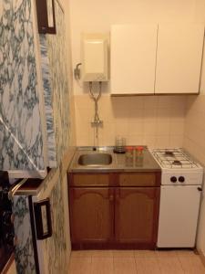 a small kitchen with a sink and a stove at Apartments by the sea Drace, Peljesac - 14019 in Janjina