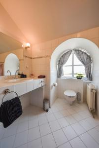 a bathroom with a toilet and a sink and a window at Kaštieľ Sokoľany 