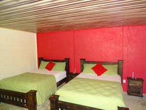 two beds in a room with red walls at Hostel Osa Tucan Corcovado in Drake