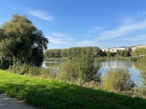 Blick auf einen Fluss mit Gebäuden im Hintergrund in der Unterkunft DG Apartment - Le Relais du Lac, proche Disneyland Paris in Lognes
