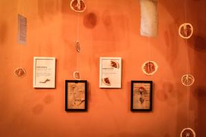 a wall with framed pictures on a wall with strings at Kuka y Letras in Mérida