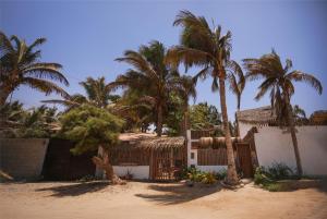 a house with palm trees in front of it at Los Almendros de Máncora in Máncora