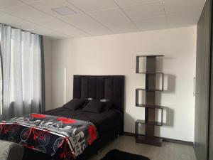a bedroom with a bed and a book shelf at Departamento Céntrico in La Paz