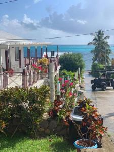 una casa con piante in vaso di fronte all'oceano di Posada Ashanty a Providencia