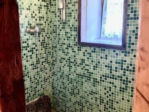 a green tiled shower with a window in a bathroom at Chalet 4 pièces, 3 chambres, 8 pers., proche télécabine, balcon, jardin privatif, parking, Wifi - FR-1-676-40 in Châtel +14 photos