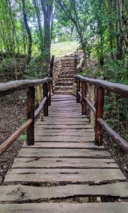 un pont en bois sur un chemin dans une forêt dans l'établissement Viejo Molino, à Nono