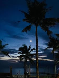 a group of palm trees on the beach at night at Paradise Inn Beach Resort in Varkala