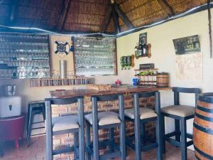 a bar with blue stools and a counter in a restaurant at Terry’s Cozy cottage in Germiston