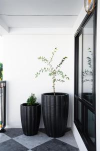 two large black pots with a tree in them at St Hugh Hotel Wagga Wagga in Wagga Wagga