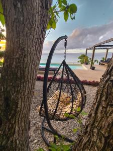 a basket hanging from a tree next to the beach at South Pacific Memories in Port Vila