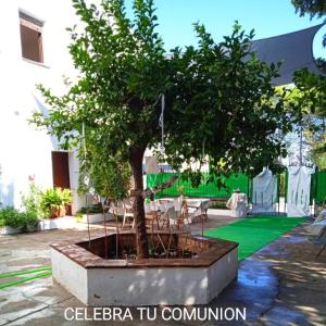 Vonkajšia záhrada v ubytovaní CASA RURAL El Paso