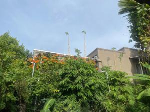 ein Gebäude mit orangefarbenen Blumen auf einem Baum in der Unterkunft Write Asia Hollidays in Gampaha