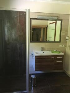 a bathroom with a shower and a sink and a mirror at Appartement Mühlbacher in Wagrain