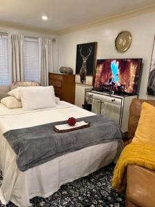 um quarto com uma cama grande e uma televisão em Welcoming Private Suite with French Touches em Union