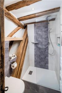 a bathroom with a shower and a toilet at Landhotel Löwen in Erlabrunn