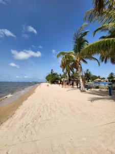 a sandy beach with palm trees and the ocean at POMBO KUNDA Room in Sanyang