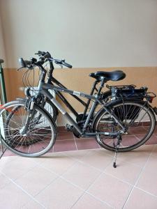 Jízda na kole v ubytování Apartament Słoneczny Bałtyk-Grzybowo rowery w cenie nebo okolí + 11 fotografií