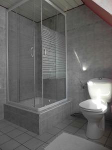 奧爾斯克維萊的住宿－Gite Des Trois，一间带卫生间和玻璃淋浴间的浴室