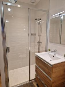 a bathroom with a shower and a sink at CHAL1 37m2 à 200 m du Capitole in Toulouse