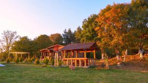 Zahrada ubytování Borjomi Kingswood Cabins