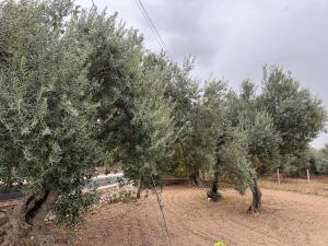 Gallery image of Casa di Mirto in Chiaramonte Gulfi