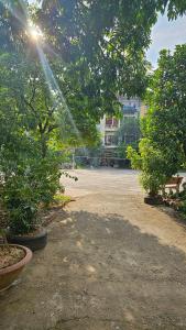 a sun shining through trees in a parking lot at Milano Hotel in Hải Dương