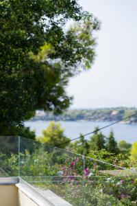 ポルト・ヘリにあるIliana Exclusive Villa - Private Pool - Walking Distance To Beachの花の咲くバルコニーから水辺の景色を望めます。